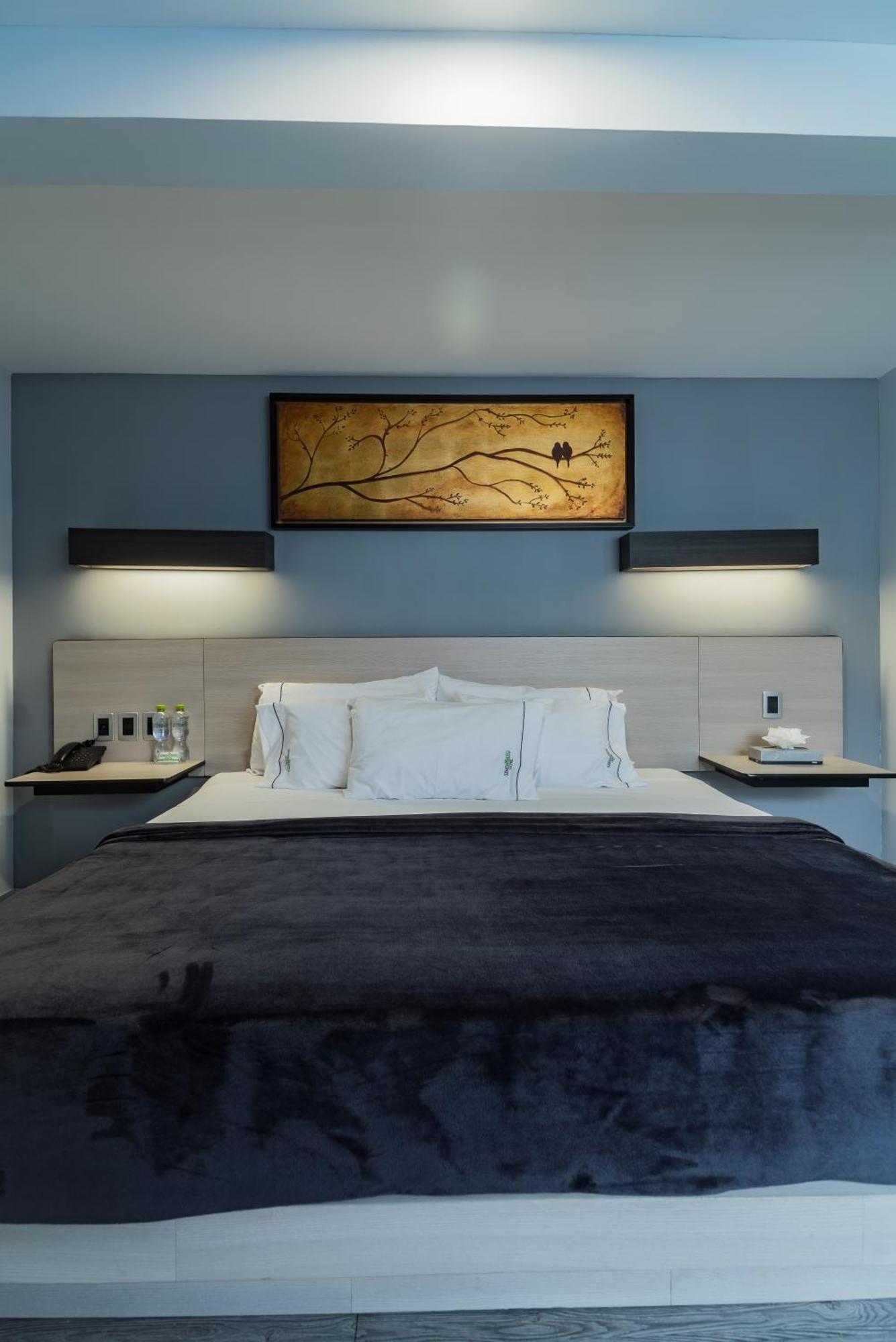 גואדלחארה Hotel Lemon Green -Zona Expo Frente Al Centro De Convenciones מראה חיצוני תמונה
